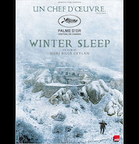 Winter sleep