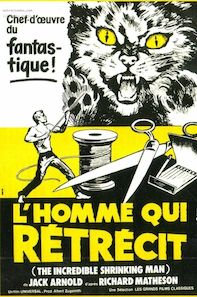 L’homme qui rétrécit