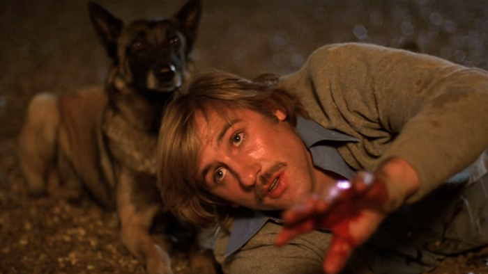 Les chiens