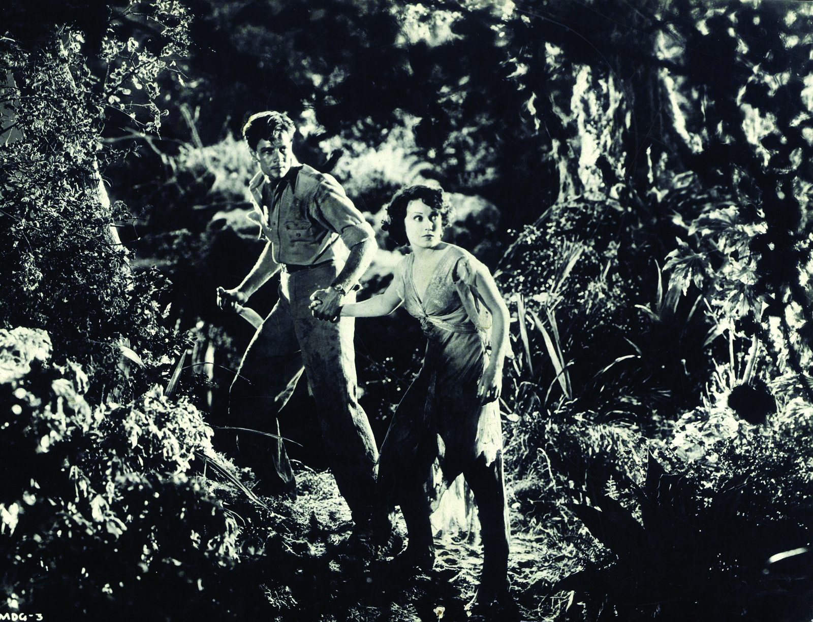 Les Chasses du comte Zaroff